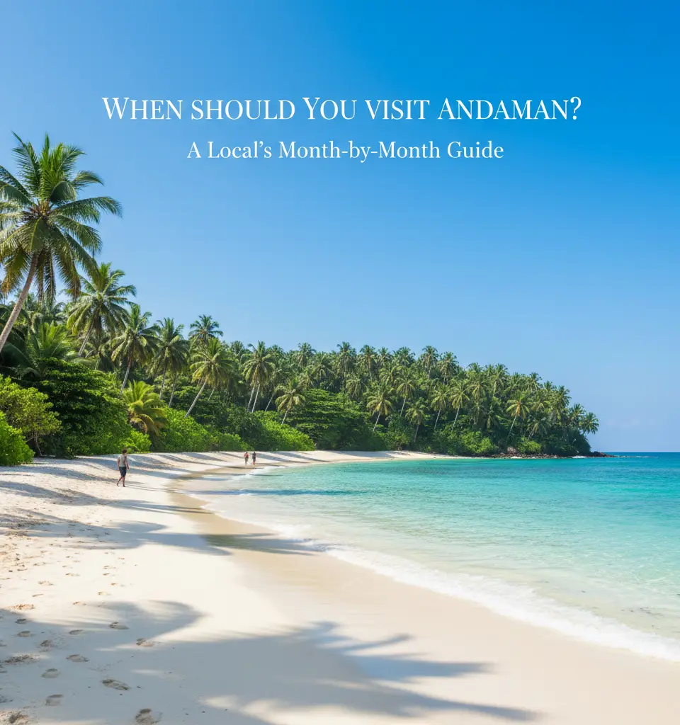 When Should You Visit Andaman? A Local’s Month-by-Month Guide